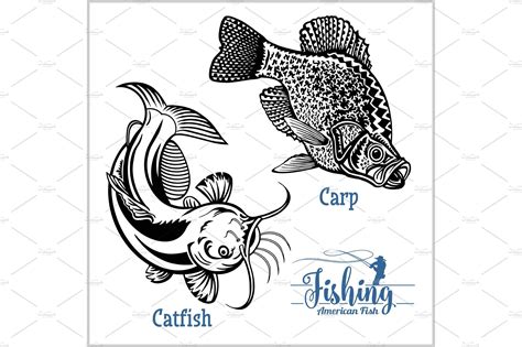 Catfish and Carp fishing on usa – MasterBundles