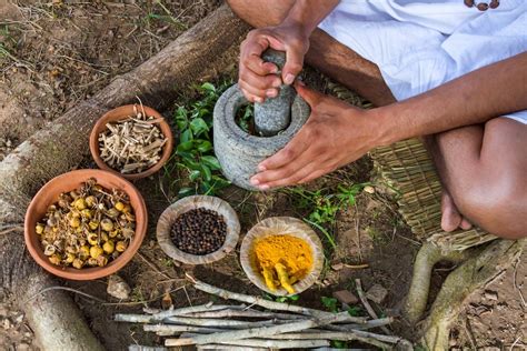 What is Ayurveda? Learn the Main Practices of This Traditional Indian ...