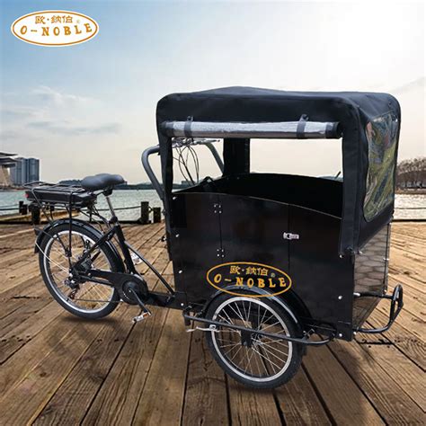 Cargo Bike 3 Wheel Electric Bike Best Selling Electric Cargo Bike ...