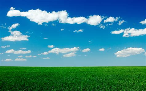 Grass and Sky Wallpaper (71+ images)