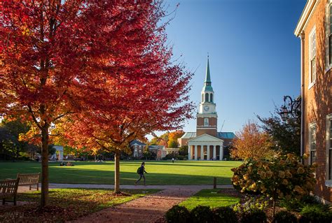 Undergraduate Admissions | Wake Forest University