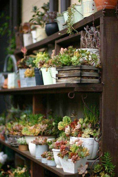 26 Mini Indoor Garden Ideas to Green Your Home - WooHome