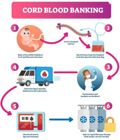 Community Cord Blood Banking - Civilsdaily