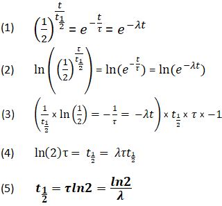 Nuclear Chemistry Half Life Equation - Tessshebaylo