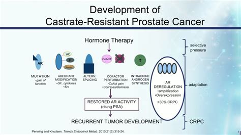 Daniel P. Petrylak, MD | Sequencing of Adjuvant Therapies