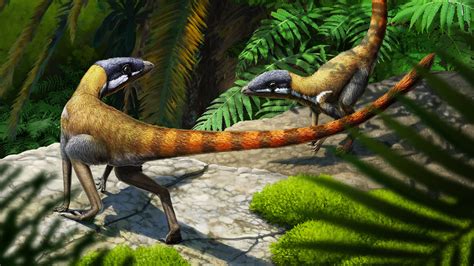 Fossils Reveal Pterosaur Relatives Before They Evolved Wings - The New ...