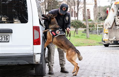 How Police Train Their Dogs