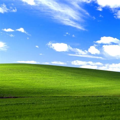 Location of the Microsoft Windows XP Default Wallpaper – Sonoma ...