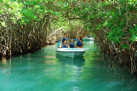 Jungle Tour Adventour - Cancun