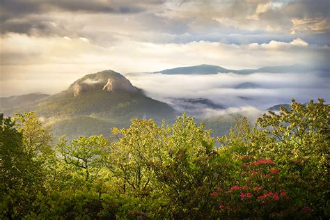 Looking Glass Sunrise | NC Blue Ridge Parkway Photography by Dave Allen