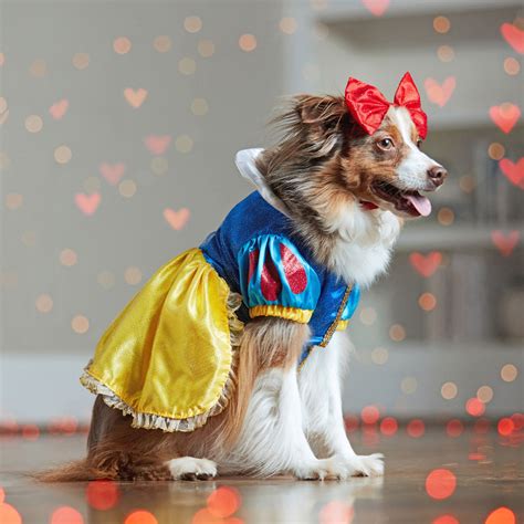 Dogs Dressing Up As Disney Characters Will Instantly Brighten Your Day ...