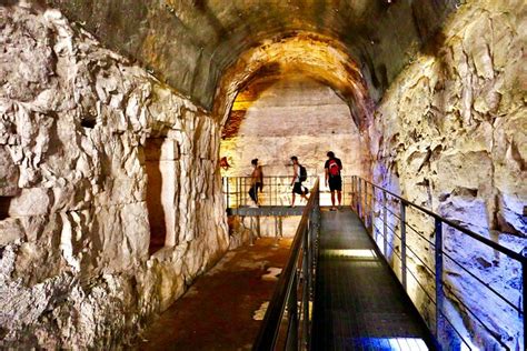 Expert Guided Tour of Colosseum Underground, Arena and Forum 2023 - Rome