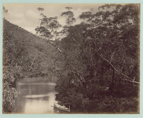 Kangaroo Creek (fresh water), [Royal National Park, New South Wales ...