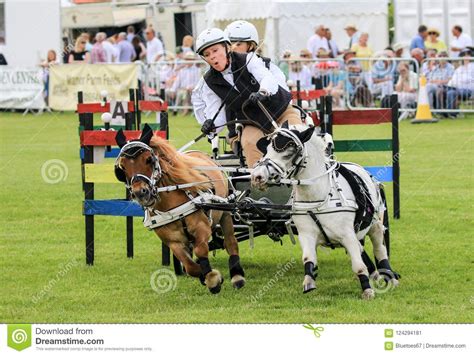 Driving Competition Horse Drawn Carriage Editorial Photo - Image of ...