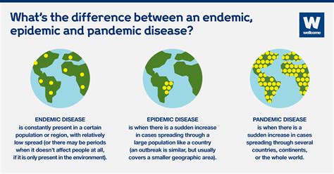 Dr. Anthony Fauci says that COVID-19 can become an endemic later this ...