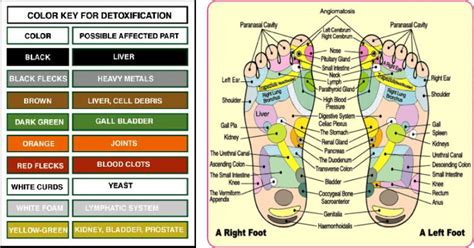 Bella Soul Spa | Detox Foot Spa | Ionic Foot Bath