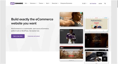 5 Best WordPress eCommerce Plugins You Should Be Using in 2024