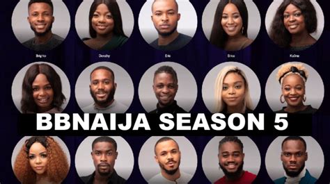 Big Brother Season 5: Meet The Housemates - Plus TV Africa