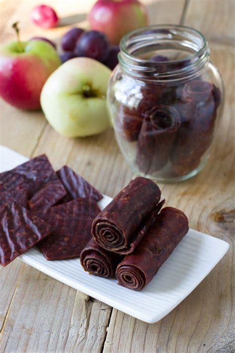 15 Tasty Dehydrator Recipes For Healthy Snacks That Last! | Fruit ...