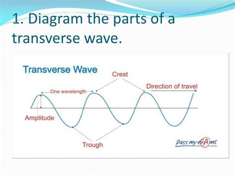 Diagram Of Transverse Wave