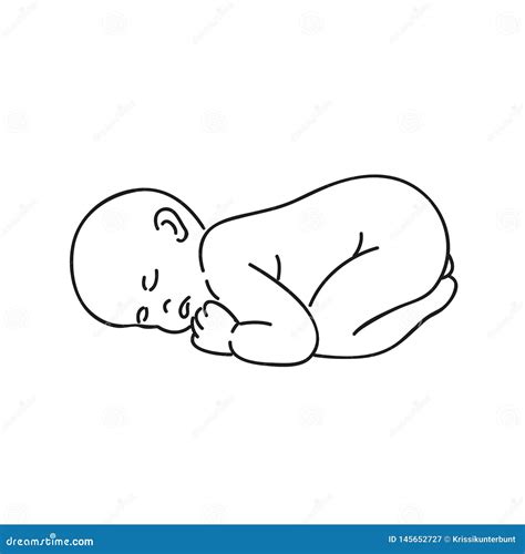 Sleeping Baby Kangaroo. Vector Outline Cartoon Illustration ...