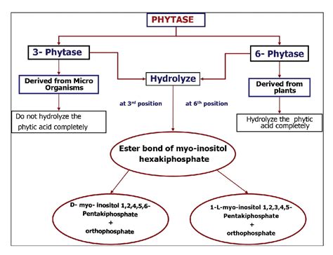 ROLE OF PHYTIC ACID AND PHYTASE IN POULTRY NUTRITION