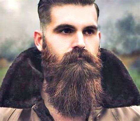 50+ Best Beard Styles For Men With Pictures 2024