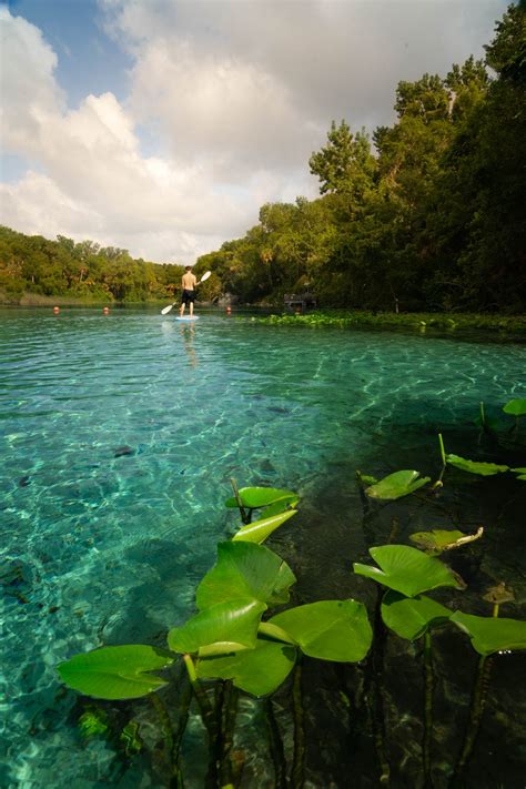 Alexander Springs: The Perfect Day Trip In Lake County, Florida | Every ...