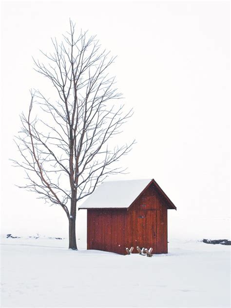 Winter Scenes in Canada: A Gorgeous Photo Gallery | Our Canada