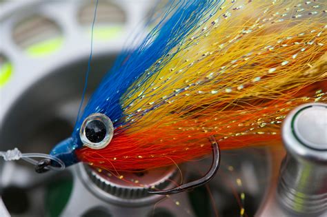 Top 15 Peacock Bass Flies for Fly Fishing - Yellow Dog Flyfishing