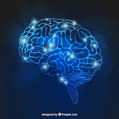 Bright brain Vector | Free Download