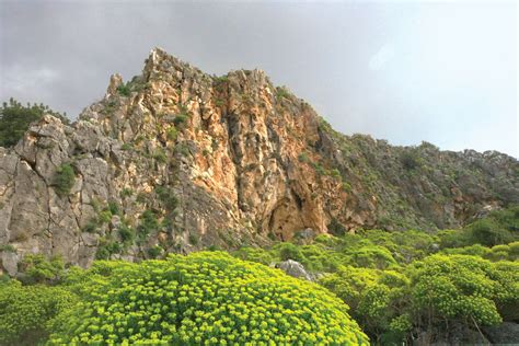 Mount Carmel | Jezreel Valley, Mediterranean Sea, Haifa | Britannica