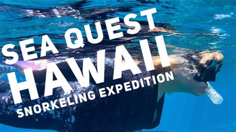 Sea Quest Hawaii - South Kona Snorkel Expedition and Night Manta Ray ...