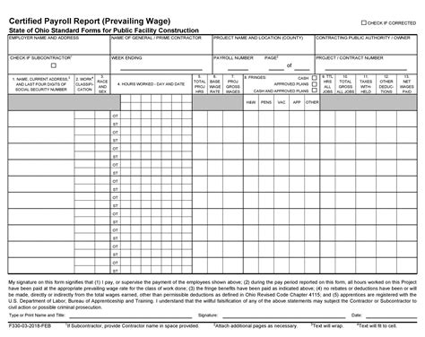 40 Free Payroll Report Templates (Excel / Word) ᐅ TemplateLab