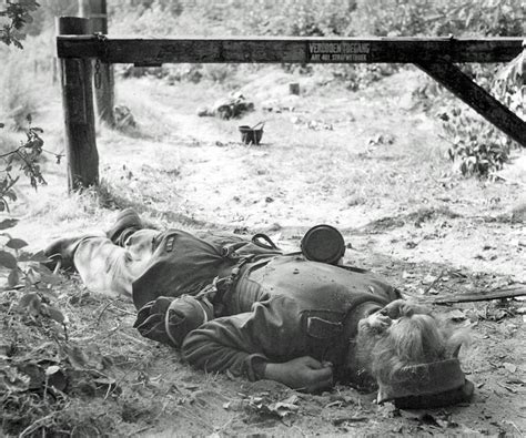 Dead German Soldiers