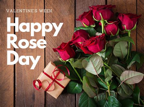 Happy Rose Day | Rose Day 2022: Wishes, images and quotes to share on ...