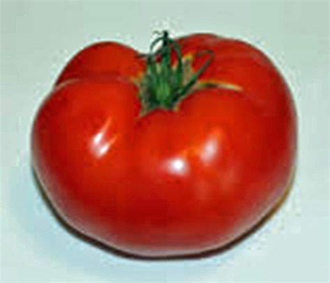 TOMATO SEEDS, RUTGERS, HEIRLOOM, ORGANIC SEEDS, DELICIOUSLY SWEET RED ...