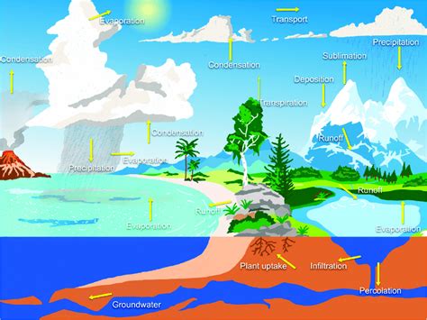 Sublimation Diagram Water Cycle