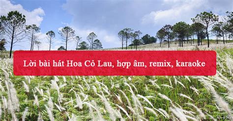 Lời bài hát Hoa Cỏ Lau, hợp âm, remix, karaoke - META.vn