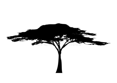 African Tree Icon, Acacia Tree Silhouette, Vector Isolated Stock Vector ...