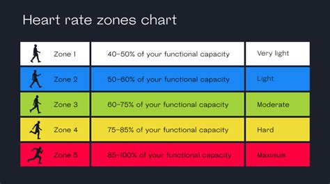 What are Heart Rate Zones & how to calculate it with Welltory