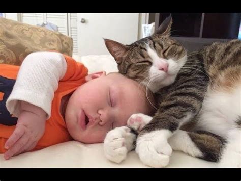 Cute Babies Sleeping With Dogs and Cats - Cat Loves Baby Videos 2018 ...