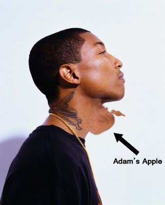 Adam's Apple by Dutzu1994 on DeviantArt