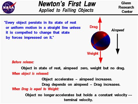 Newton's First Law Applied to a Falling Object