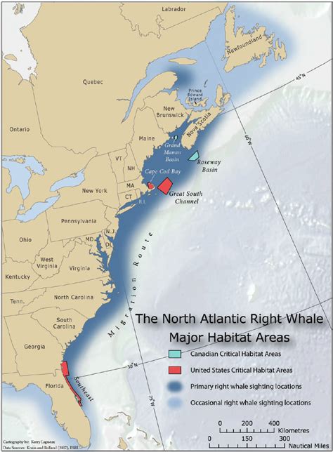 Range and habitats of the North Atlantic right whale ( Eubalaena ...