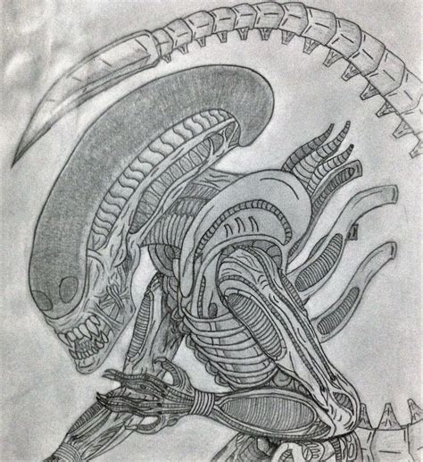 Alien Xenomorph Drawing by MidnightHazey on DeviantArt