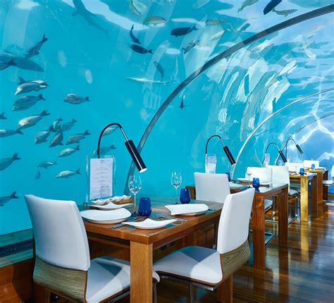 Ithaa Undersea Restaurant | Conrad Maldives Rangali Island Dining