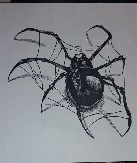 Dibujo | Araña dibujo, Bocetos a lapiz, Araña patona