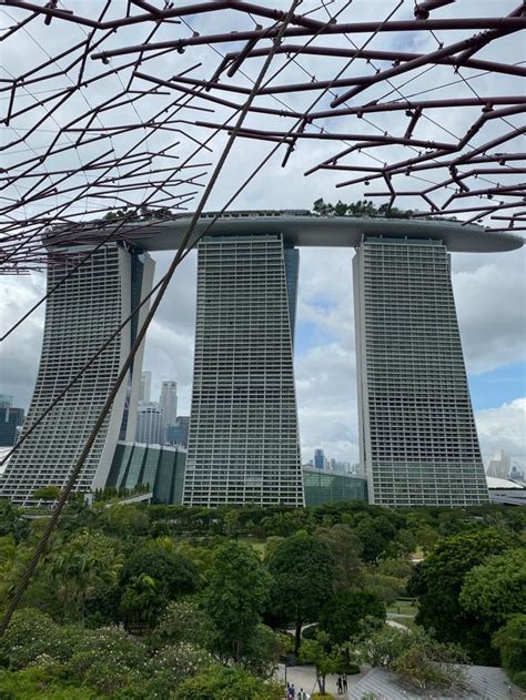 The Cloud Forest, Singapore | Cloud forest singapore, Indoor waterfall ...