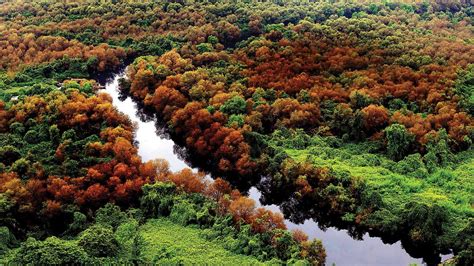 Govt begins work on project to protect mangroves in state